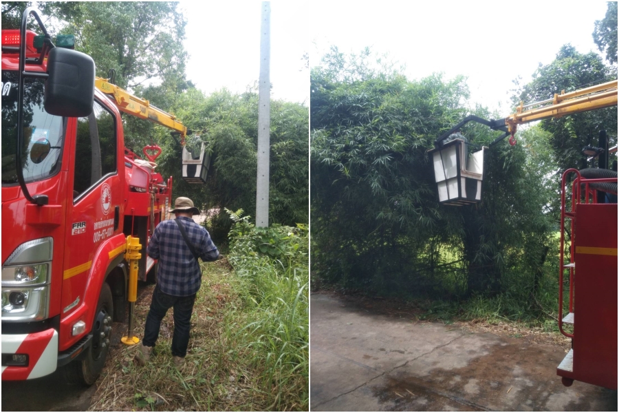 ตัดไม้ กิ่งไม้ ในบริเวณบ้านหนองขุ่น หมู่ที่ 1