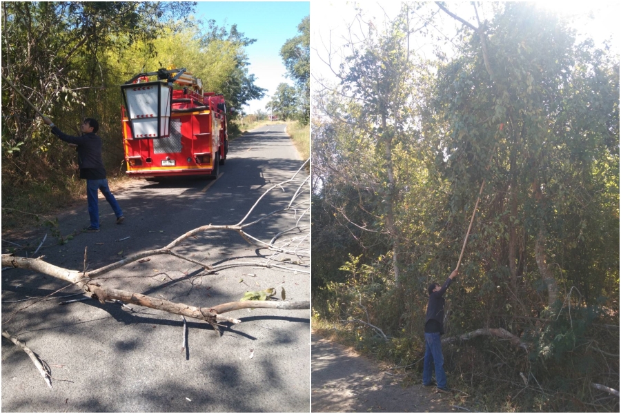 ตัดแต่งกิ่งไม้ ตัดต้นไม้ ในบริเวณบ้านหนองขุ่น หมู่ที่ 1