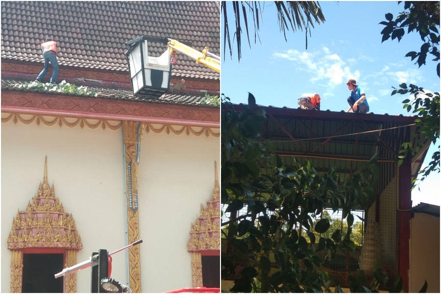 รื้อต้นไม้ กิ่งไม้ และซ่อมแซมหลังคาวัดศรีตัสสาราม