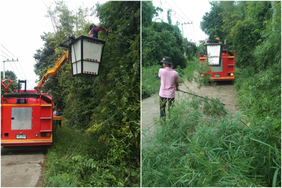 ตัดต้นไม้ กิ่งไม้ ในบริเวณ ดอนเจ้าปู่ บ้านหนองขุ่น หมู่ที่ 1