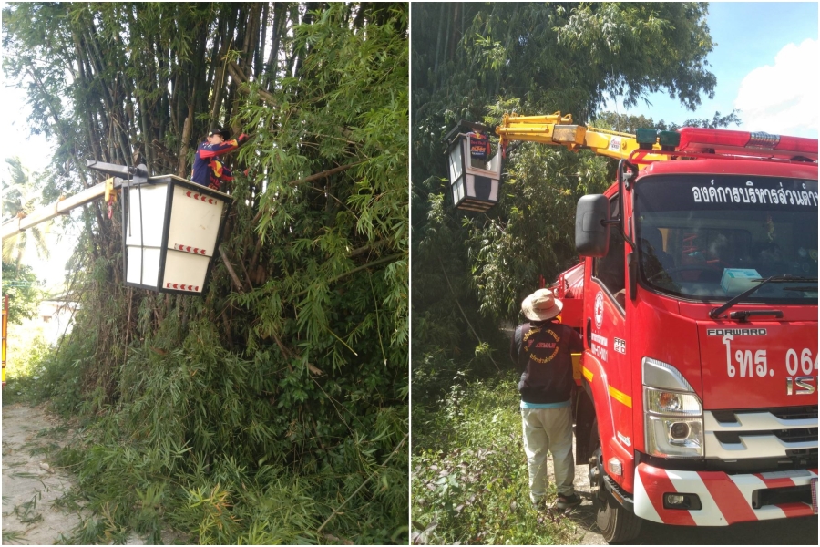 ตัดต้นไม้ กิ่งไม้ ในบริเวณ บ้านศรีตากแดด หมู่ที่ 3