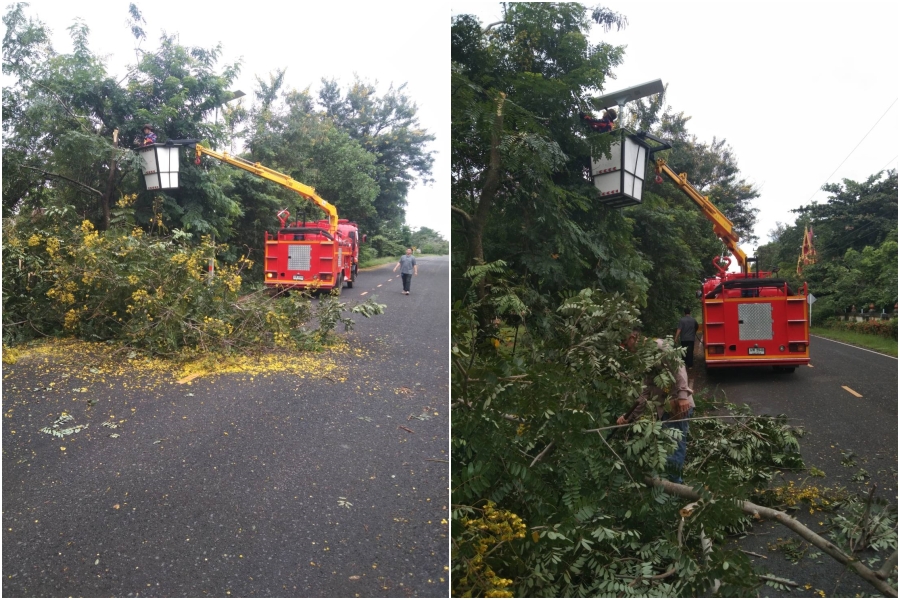 ตัดไม้ กิ่งไม้ ในบริเวณ หน้าวัดคำปะโอะ บ้านคำปะโอะ หมู่ที่ 2