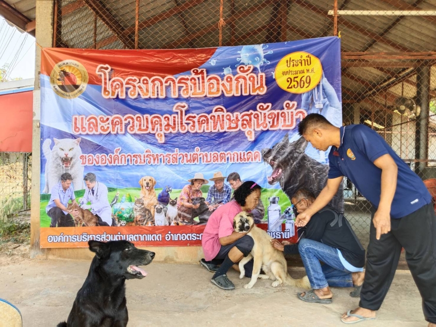 ดำเนินการออกฉีดวัคซีนป้องกันโรคพิษสุนัขบ้า ประจำปีงบประมาณ 2569