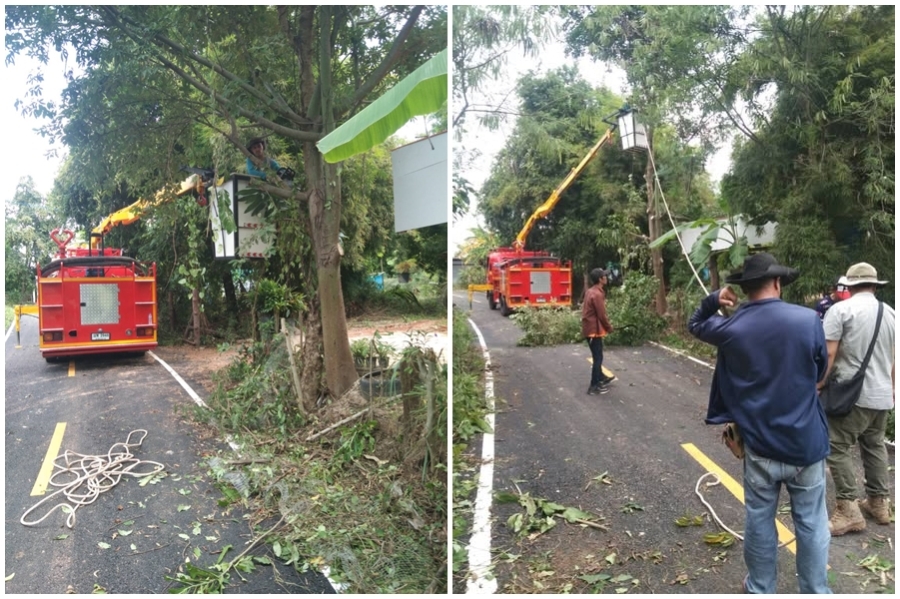 ตัดต้นไม้ กิ่งไม้ ในบริเวณบ้านตากแดด หมู่ที่ 3