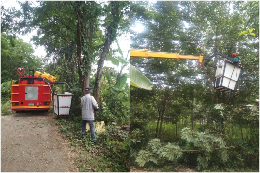 ตัดไม้ กิ่งไม้ ในบริเวณบ้านโพธิ์แสง หมู่ที่ 9